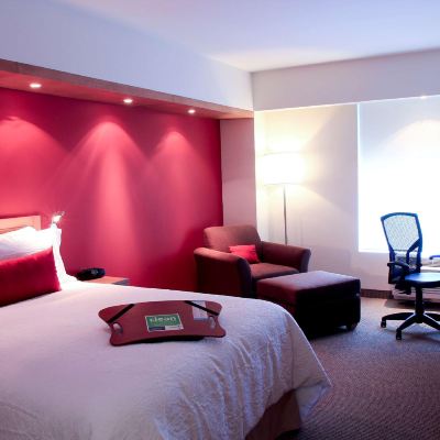 大床房-非吸煙 瓜達拉哈拉/博覽會希爾頓歡朋酒店優惠