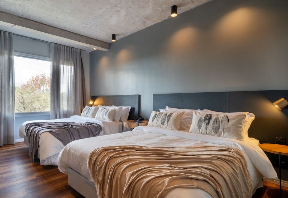 基礎雙人或雙床房