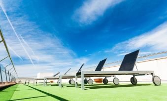 a row of solar panels on top of a grassy field , with a blue sky in the background at Artiem Capri