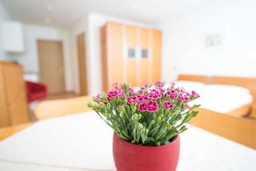 Apartment Edelweiss Studio