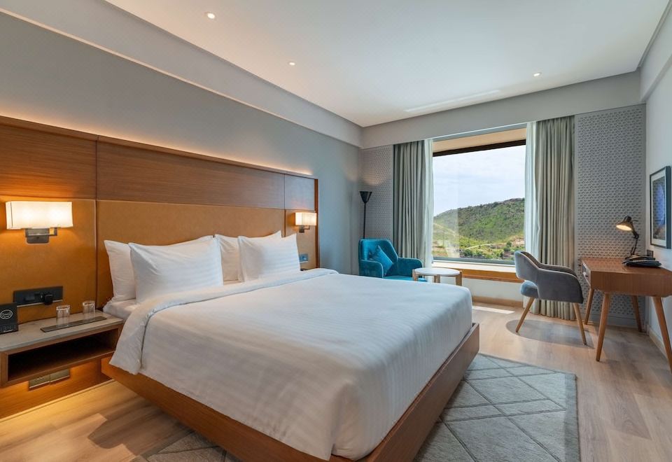 Radisson Hotel Nathdwara Deluxe Room