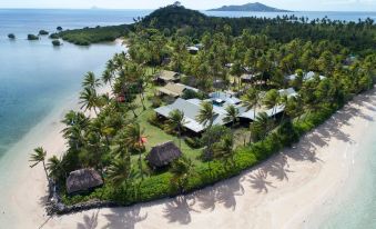 aerial view of a sandy beach with palm trees , houses , and a body of water in the background at Nukubati Great Sea Reef