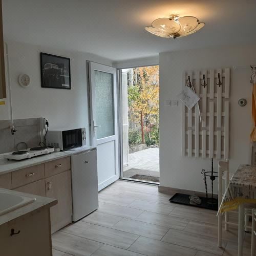 帶露臺一室公寓