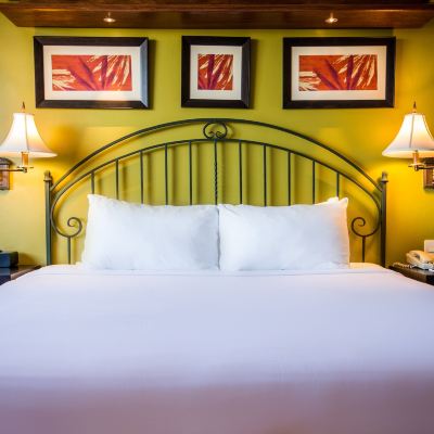 Superior King Room Kapok Hotel Promo Code