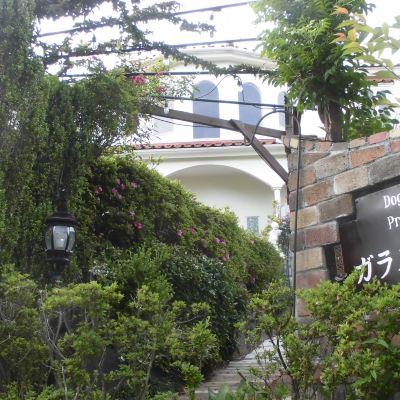 A Room With An Ocean View Where You Can Use All Dog Facilities For Free. [Twin Room] [Non-Smoking] [Mountain View] [Ocean View] 押し花アートを楽しめる犬の宿　伊豆高原 ガラスの仔犬 クーポン