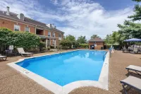 Best Western Spring Hill Inn  Suites
