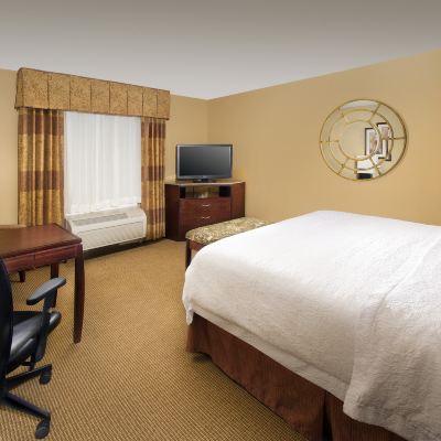King Room-Non-Smoking Hampton Inn and Suites San Antonio Airport Promo Code