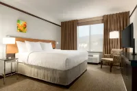 美梅德福希爾頓花園酒店