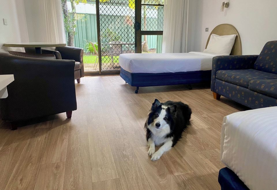 Macquarie Barracks Motor InnDeluxe Double Or Twin Room-Pet Friendly