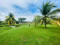 Amatique Bay Hotel Hotels in 