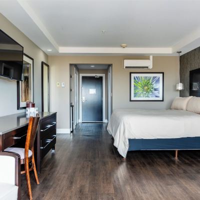 Executive Single Room Hôtel Shédiac Promo Code