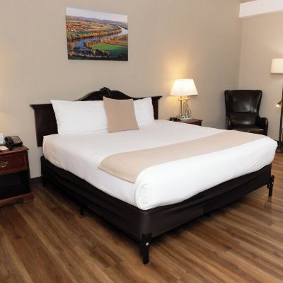 Standard Room, 1 Bedroom, Fireplace D. Hotel Suites & Spa Promo Code