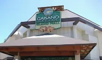 Mactan-Cebu Airport Budget Hotel Hotels in 