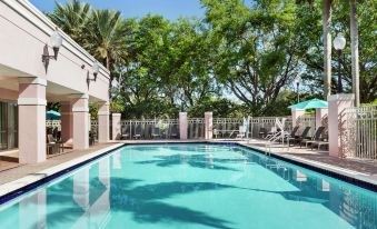 an outdoor swimming pool surrounded by palm trees , with lounge chairs and umbrellas placed around the pool area at DoubleTree by Hilton Sunrise - Sawgrass Mills