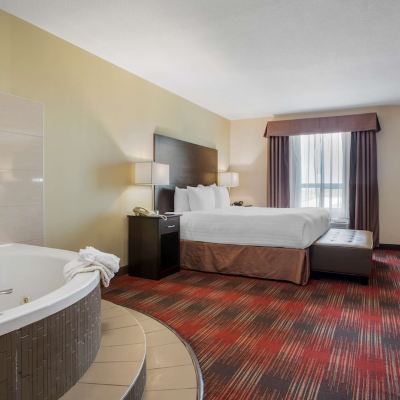 Suite-1 King Bed, Non-Smoking, Mini Suite, Jacuzzi, Fireplace, Sofabed, Microwave and Refrigerator Best Western Plus Red Deer Inn & Suites Promo Code