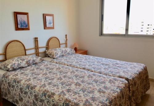 高级两卧室公寓