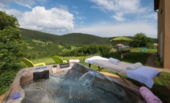 La Villa des Raspes - Holistique Spa - Adult Only