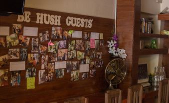 Hush Hostel