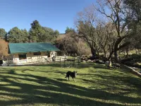 Kymmik Cottage - A slice of Tasmanian paradise Ξενοδοχεία στην πόλη Geeveston