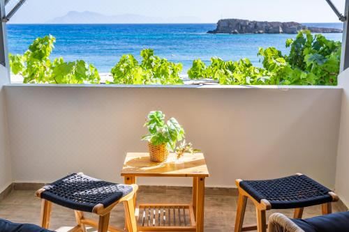 带露台一室公寓