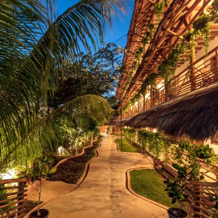 La Palma Holbox