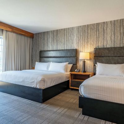 Standard Room, Multiple Beds, Roll-in Shower Cherry Valley Hotel, BW Premier Collection Promo Code