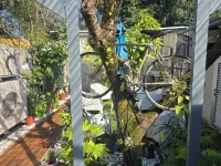 Jualis Guest House
