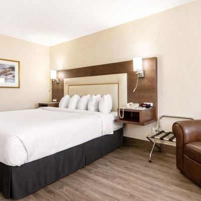 Business King Room with Sofa Bed-Non-Smoking Quality Inn & Suites & Conference Centre - Gatineau Promo Code