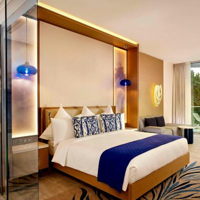 Standard King Room with Balcony Autograph Collection Paragraph Resort & Spa Shekvetili Promo Code