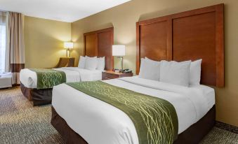 Comfort Inn Apex - Holly Springs