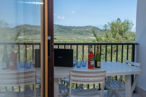 全景两卧室公寓