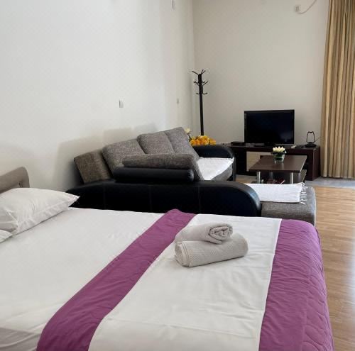 带露台一室公寓