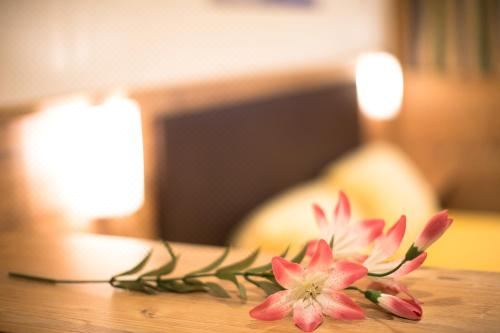 舒适两卧室公寓 - 带阳台