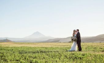 a couple is embracing in a grassy field with a mountain in the background , under a clear blue sky at Balch Hotel
