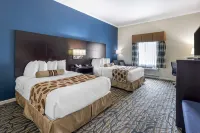 Best Western Spring Hill Inn  Suites
