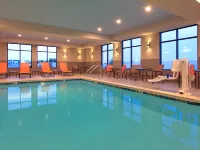 Hampton Inn Snyder Hotels in Snyder