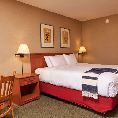 Standard King Room Marmot Lodge Jasper Promo Code