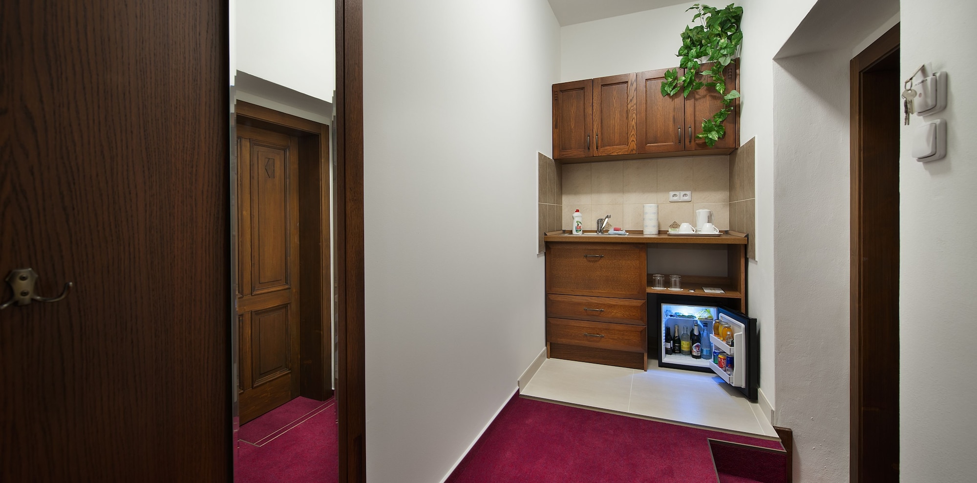 豪华公寓，带小厨房，行政楼层（行政楼层）