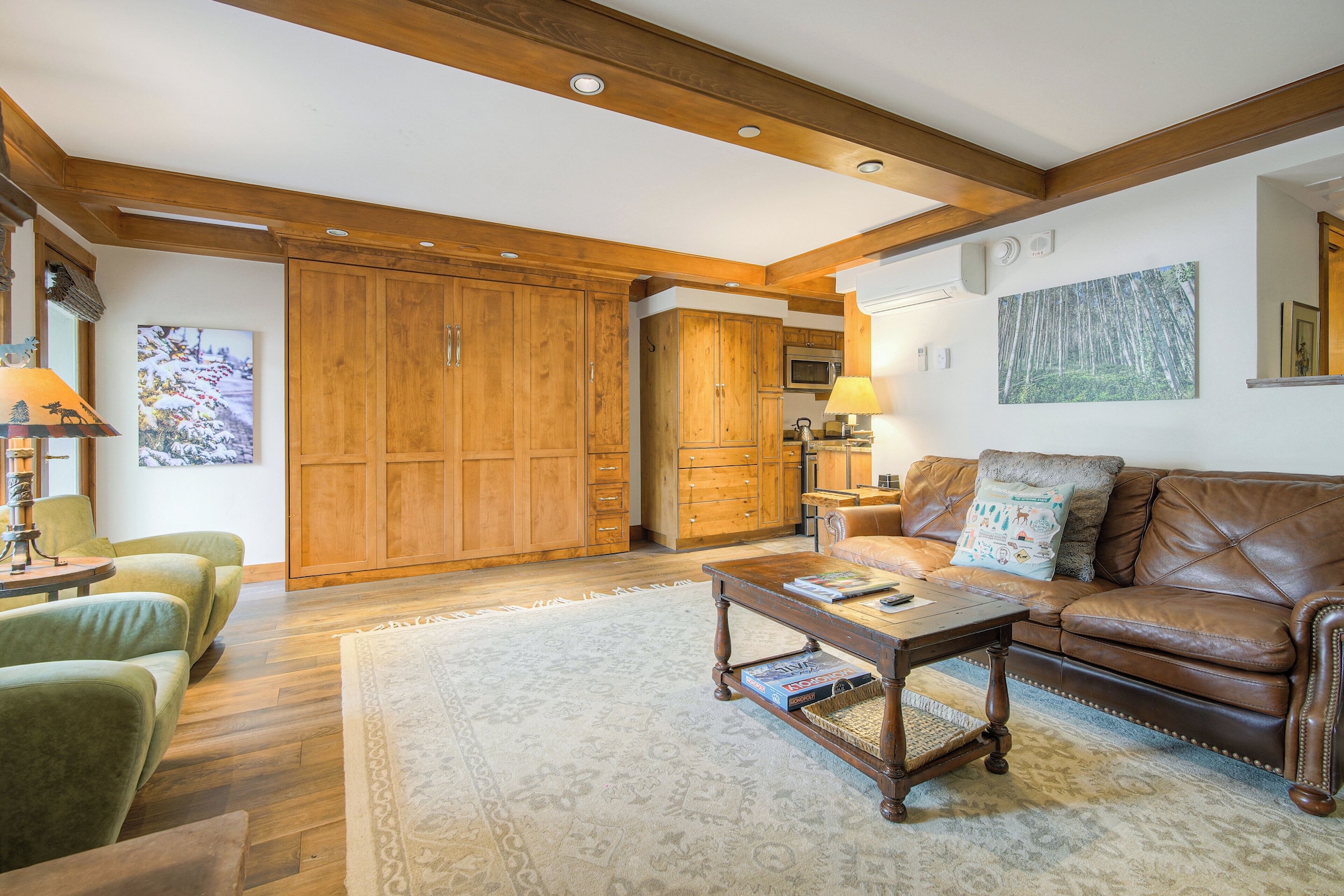 一室公寓 - 带墨菲床