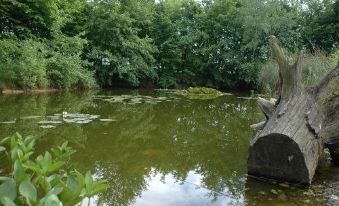 De Groene Pleisterplaats - Housity