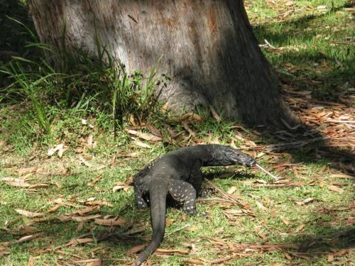 四卧室联排别墅-3