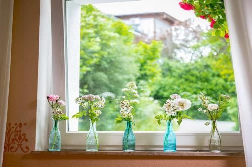 高级一卧室公寓