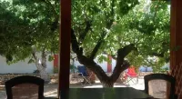 Hotel Petras Beach