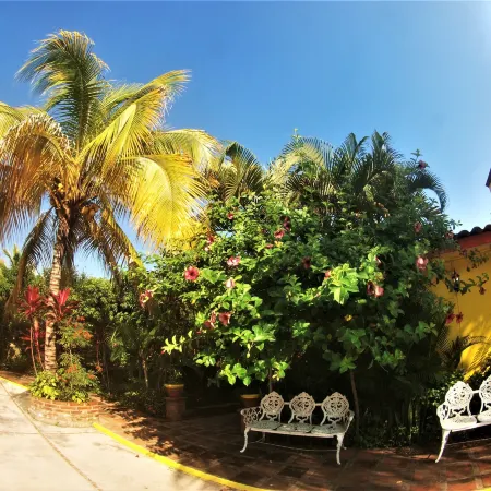 Quinta Comala Hotel & Villas Отели в г. Комала