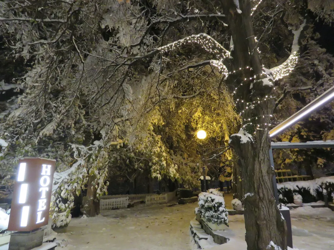 Hotel Villa Boyana - Free Parking - Sofia