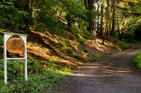 홈 팜