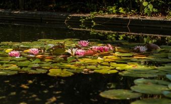 Les Jardins de Josephine - le Manoir