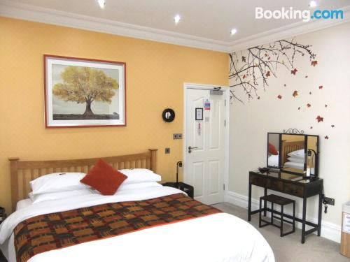 高级超级特大床间 - 秋季