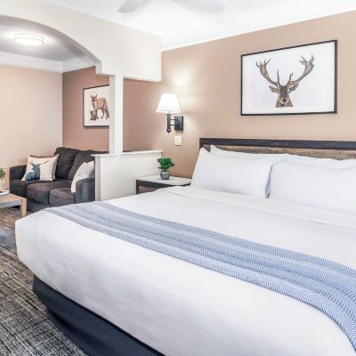 Deluxe King Room Inn at Mount Shasta Promo Code