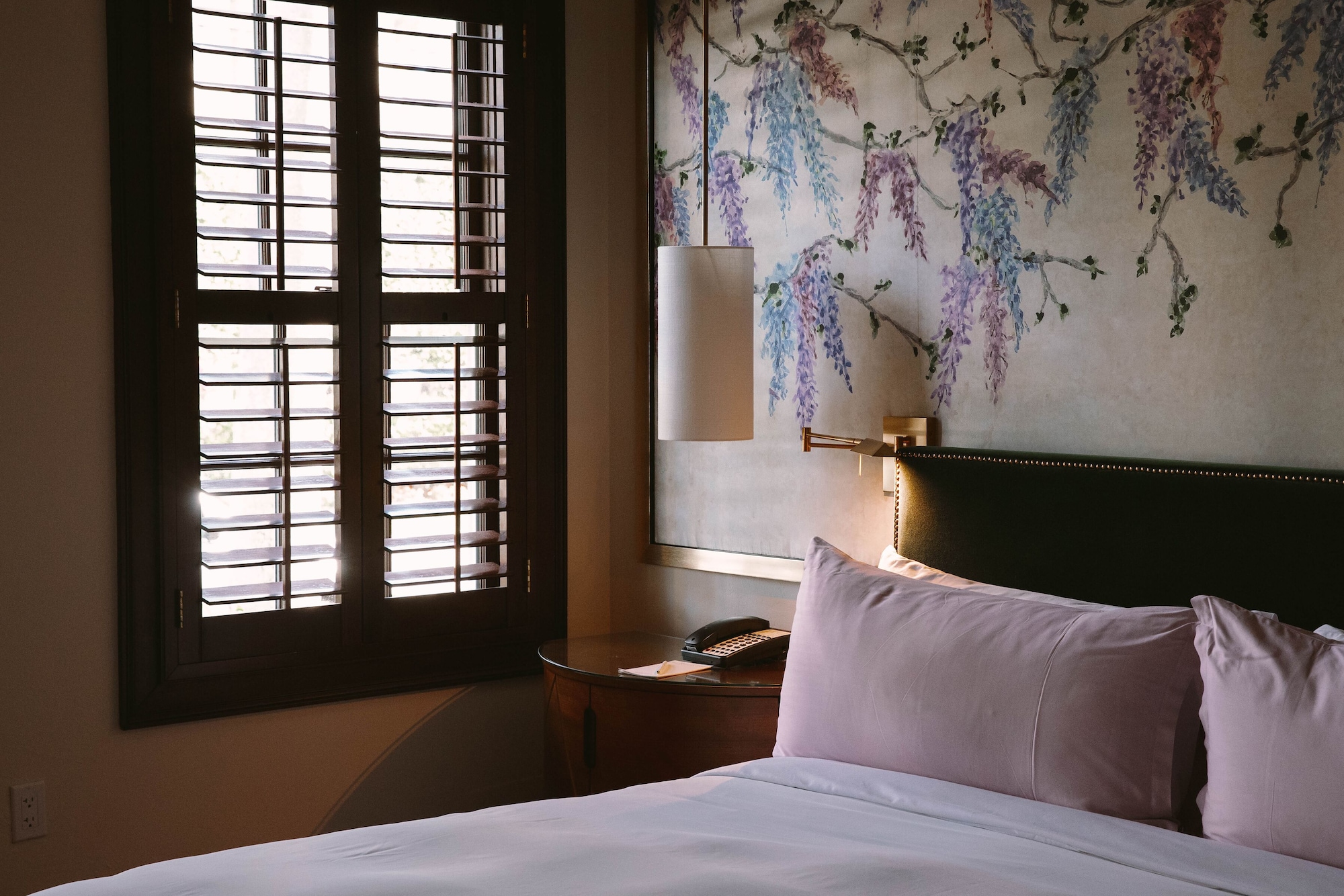 紫藤一室，带庭院或露台